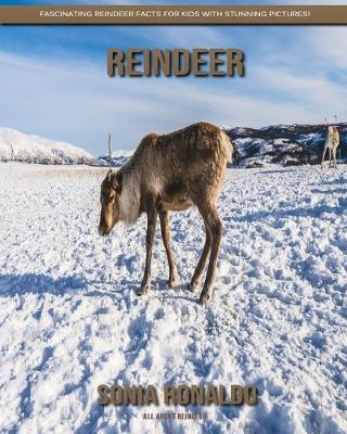 Book cover for All About Reindeer