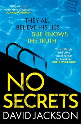 Book cover for No Secrets