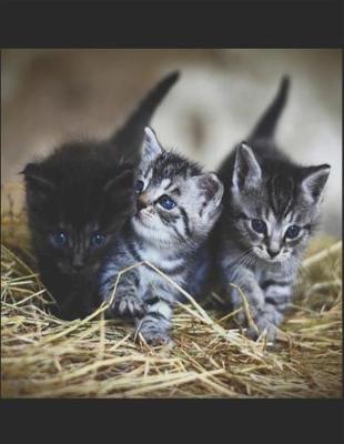 Book cover for Barnyard Kittens