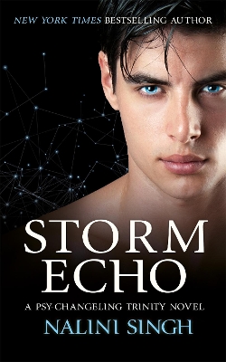 Book cover for Storm Echo