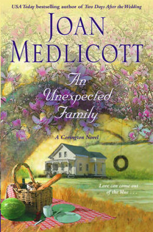 Cover of An Unexpected Family