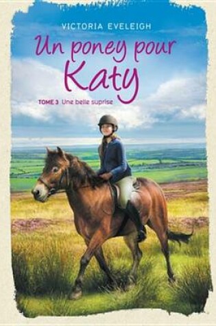 Cover of Un Poney Pour Katy - Tome 3