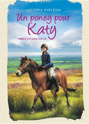 Book cover for Un Poney Pour Katy - Tome 3