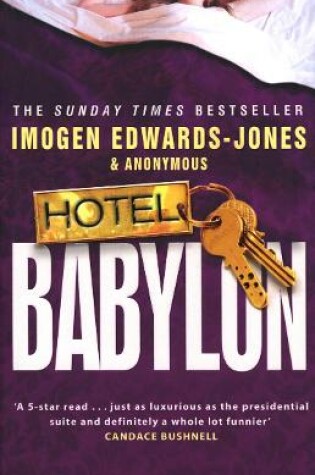 Cover of Hotel Babylon