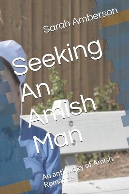 Book cover for Seeking An Amish Man