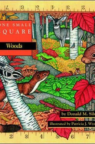 Cover of One Small Square: Woods