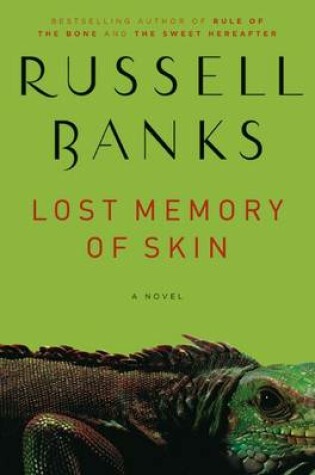 Cover of Lost Memory of Skin