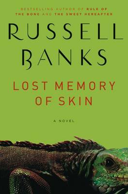 Book cover for Lost Memory of Skin