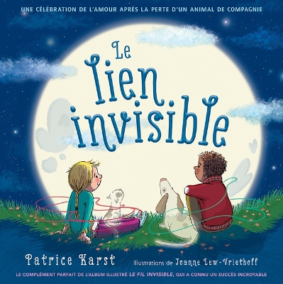 Book cover for Le Lien Invisible