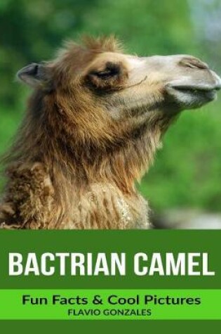 Cover of Bactrian Camel