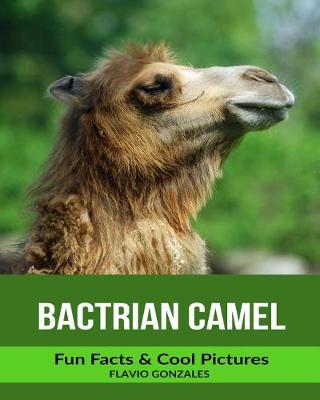 Book cover for Bactrian Camel