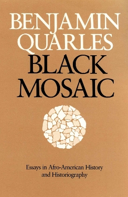 Book cover for Black Mosaic