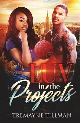 Book cover for Luv in the Projects