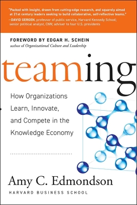 Book cover for Teaming