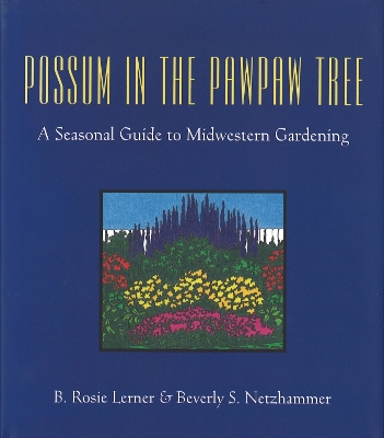 Book cover for Possum in the Pawpaw Tree