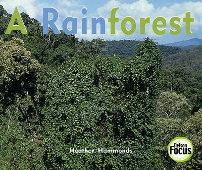 Book cover for A Rainforest