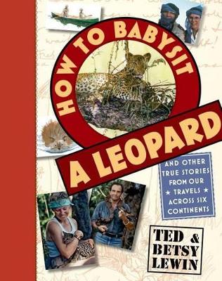 Book cover for How to Babysit a Leopard