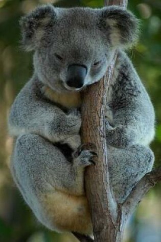 Cover of Mellow Koala in a Tree Journal