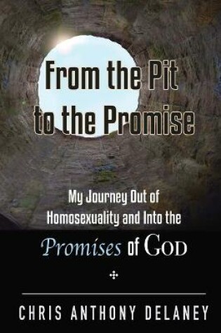 Cover of From the Pit to the Promise