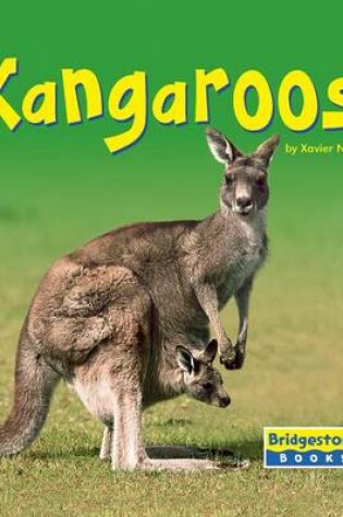 Cover of Kangaroos