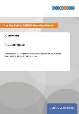 Book cover for Industriegase