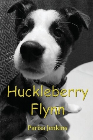 Cover of Huckleberry Flynn