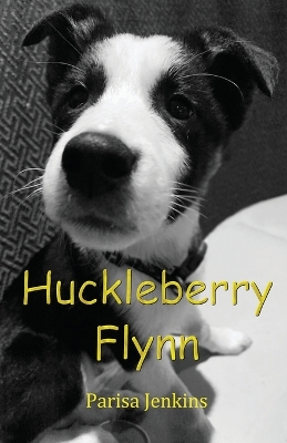 Book cover for Huckleberry Flynn