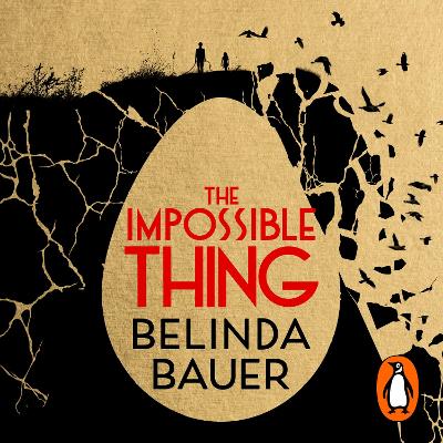 Book cover for The Impossible Thing