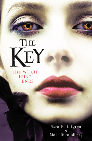 Book cover for The Key