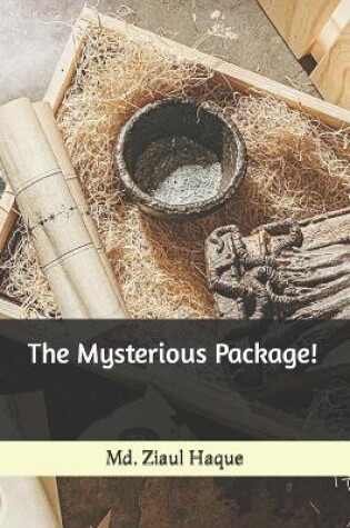 Cover of The Mysterious Package!