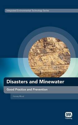 Book cover for Disasters and Minewater: Good Practice and Prevention