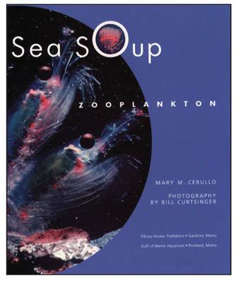 Book cover for Sea Soup