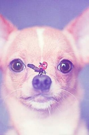 Cover of Chihuahua Puppy and a Ladybug Journal