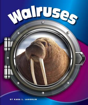 Book cover for Walruses