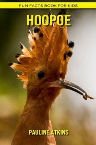 Cover of Hoopoe