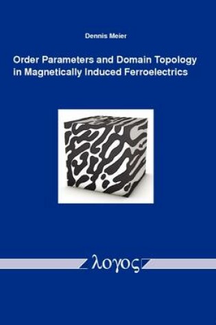 Cover of Order Parameters and Domain Topology in Magnetically Induced Ferroelectrics