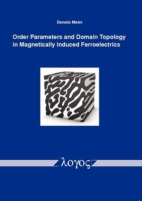 Book cover for Order Parameters and Domain Topology in Magnetically Induced Ferroelectrics