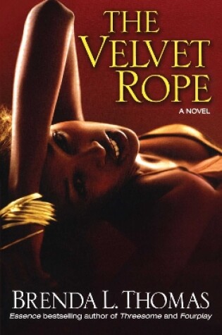 Cover of The Velvet Rope