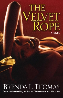 Book cover for The Velvet Rope