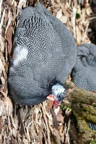 Cover of Guinea Fowl Resting on the Ground Journal