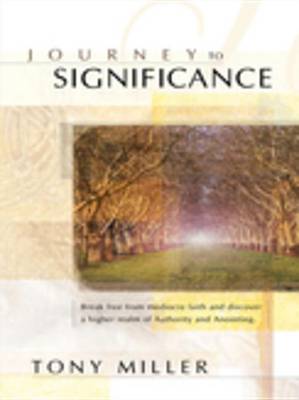 Book cover for Journey to Significance