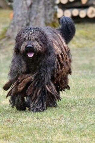 Cover of Bergamasco Shepherd Running Journal