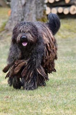 Book cover for Bergamasco Shepherd Running Journal