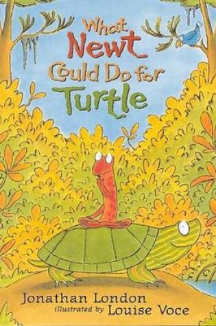 Cover of What Newt Could Do for Turtle
