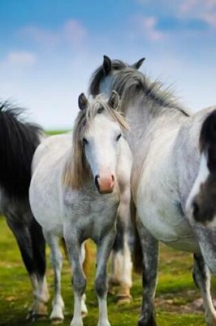 Cover of Beautiful Herd of Horses on the Grassy Plains Journal