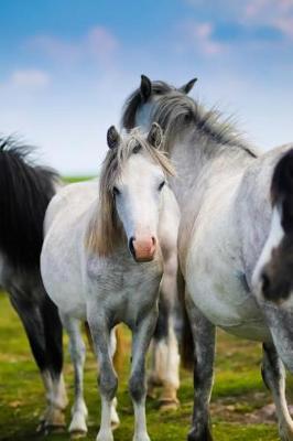 Book cover for Beautiful Herd of Horses on the Grassy Plains Journal