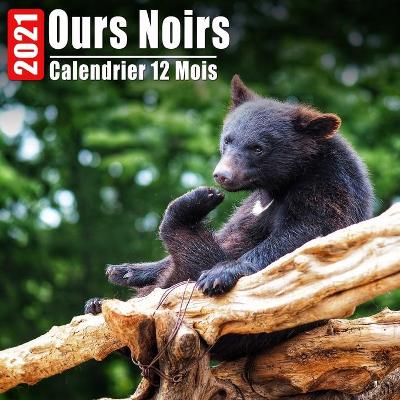 Book cover for Calendrier 2021 Ours Noirs