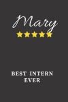 Book cover for Mary Best Intern Ever