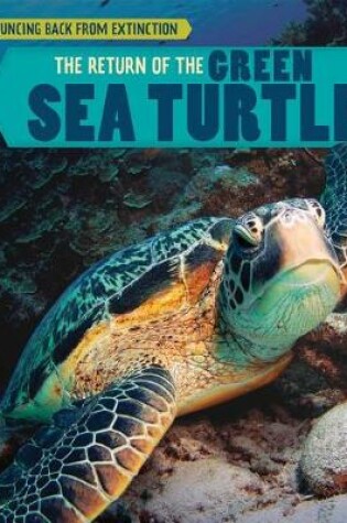 Cover of The Return of the Green Sea Turtle