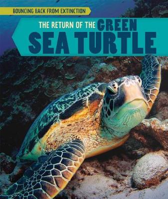 Book cover for The Return of the Green Sea Turtle